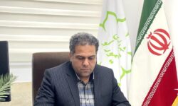 مردم تیمورلو آماده پذیرایی از لاله فاطمی/ بوی عشق، ایثار و شهادت تیمورلو را فرا گرفته است