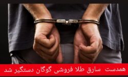 همدست  سارق طلا فروشی گوگان دستگیر شد