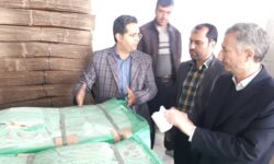 حمایت دولت مردمی از جوانان خلاق و کارآفرین