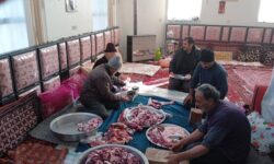 پویش نذر قربانی برای نیازمندان در گوگان