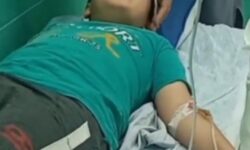 پسر بچه گوگانی قربانی سگ های ولگرد شد