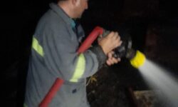 آتش سوزی خانه باغ در گوگان با تلاش آتش نشانان مهار شد