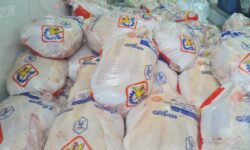 توزیع مستمر مرغ منجمد در آذربایجان شرقی