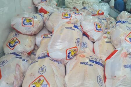 توزیع مستمر مرغ منجمد در آذربایجان شرقی