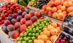 افزایش ۱۹ درصدی صادرات حوزه کشاورزی آذربایجان شرقی