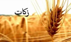لزوم احیای فریضه مهم زکات در آذربایجان شرقی
