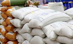 آغاز توزیع ۱۷۳۶ تن کالاهای اساسی در آذربایجان شرقی