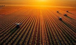 افزایش ضریب مکانیزاسیون کشاورزی آذربایجان شرقی به ۳.۳۱ اسب بخار در هکتار