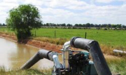 اجرای طرح تحویل حجمی آب کشاورزی طبق الگوی کشت