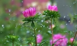 هشدار برای اتراق در حاشیه رودخانههای آذربایجان شرقی