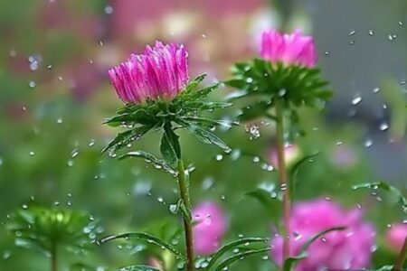 هشدار برای اتراق در حاشیه رودخانه‌های آذربایجان شرقی