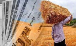 وام ۶۲ هزار میلیارد ریالی برای بخش کشاورزی آذربایجان شرقی