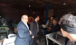 بررسی میدانی مشکلات کارگاههای تولیدی گوگان در مسیر حمایت از سرمایهگذاری