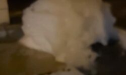 جوابیه شورای اسلامی شهر گوگان درباره تخریب چالههای مهار فاضلاب و اعتراض شهروندان