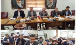 با پیگیری دکتر متفکرآزاد و هماهنگی مسئولان، پروژههای حیاتی شهر گوگان در مسیر اجرا قرار گرفتند