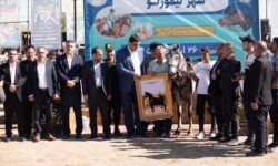حضور ۵۵ اسب در نخستین همایش بزرگ اسبسواری تیمورلو