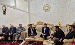 بررسی میدانی مشکلات تلفن ثابت و سیار گوگان با حضور مدیرکل ارتباطات استان