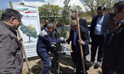 پویش نهال‌کاری «سرو امید» در شهرک صنعتی شهید سلیمی برگزار شد